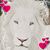 Marruah AP's profile image