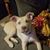 Sandra Sturdevant's profile image