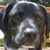 Ted Sloper's profile image