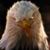 Brian Livingston's profile image