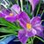 Kandi Derise's profile image