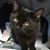Nell Louise's profile image