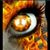 Lana Woollard's profile image