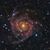 Cris Celino Weber's profile image