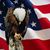 Sawyer Boyer-Porter's profile image