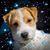 Teresa Mull's profile image