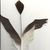 Rosemary Crowshoe's profile image