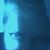 Tina Bienkowski's profile image