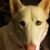 Florence Hansen's profile image