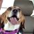 Linda Schrager's profile image
