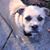 Helen Dendinger's profile image