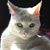 Mandy Raymond's profile image