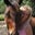 sherri's profile image