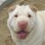 Tina Chase's profile image