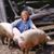 Jerre Purvis's profile image