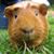 Mark Seger's profile image