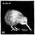 Judi Huddleston's profile image