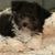 Mary Jo Roys Drueke's profile image