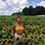 Anna Jones's profile image