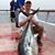 John Collis's profile image