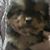 Jody Staman's profile image