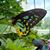 Blanca Martinez's profile image