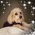 Laura Ann's profile image