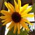 Torie Bolding's profile image