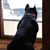 Shannon Clakley's profile image