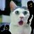 Trisha Vezina's profile image