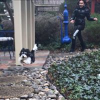 Simran Ratra's profile image