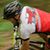 Lucien Wegner's profile image