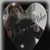 Johnny Thompson's profile image
