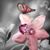 Marisel Garcia's profile image