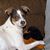 Arlyn Londo's profile image