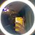 Brandon Dizzy's profile image