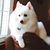 Diane Warner-Canova's profile image