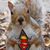 Hobart Hobie Monthra's profile image