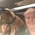 Chuck Killion's profile image