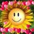 Sue Ackley Terrell's profile image