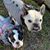 Alison Milam's profile image