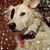 Jackie Efrati's profile image