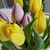 Diane Walt Kingsland's profile image