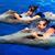 Leticia H Licea's profile image