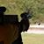 Brian Mallette's profile image
