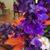 Elizabeth Duerr's profile image