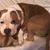 Darryl Batey's profile image
