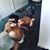 Jenny Aguon's profile image