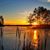 Deb Canale's profile image