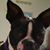 Linda Stubbs-capps's profile image